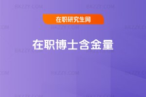 ����ʿ������