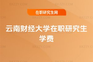 ����ؔ����W���о����W�M