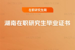 �������о������I�C��