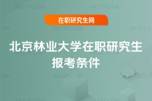 �����֘I��W���о����󿼗l��