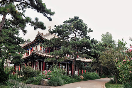 �m�ψ󿼱�����W��ȫ�����о�������Ⱥ����Щ�����x��ʲô���n��ʽ��