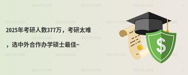 2025�꿼���˔�377�f������̫�y���x��������k�W�Tʿ���~