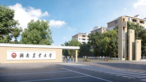 �����r�I��W