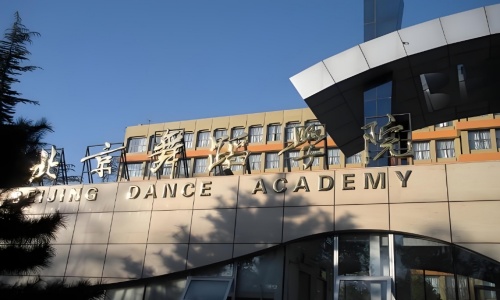 �����赸�WԺ