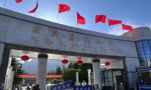 �����r����W.jpg