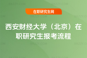����ؔ����W�����������о���������