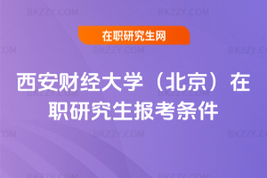 ����ؔ����W�����������о����󿼗l��